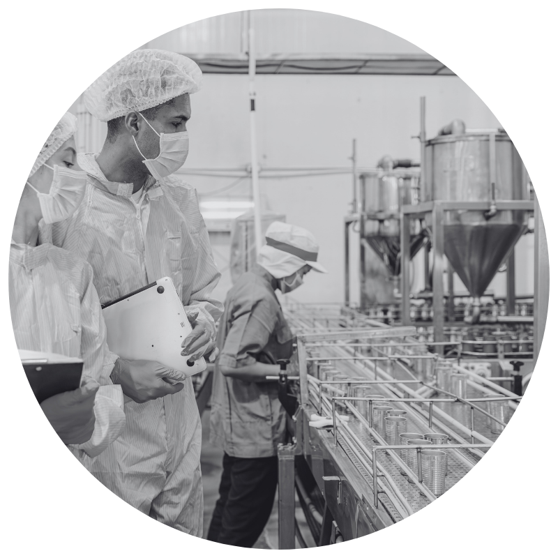 Food Manufacturing industry and workers